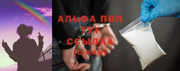 прущие грибы Козловка