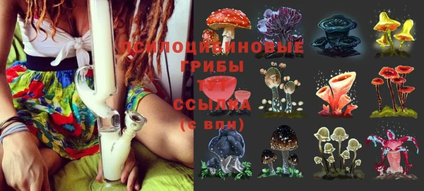 гашишное масло Белокуриха